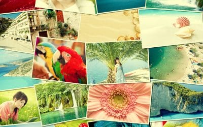 The ideal image size for social media